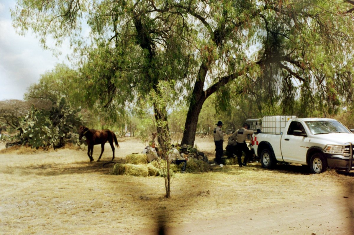In line to see the pyramids at Teotihuacan, I peaked through the fence to see a horse tied to a tree by some park rangers having lunch.